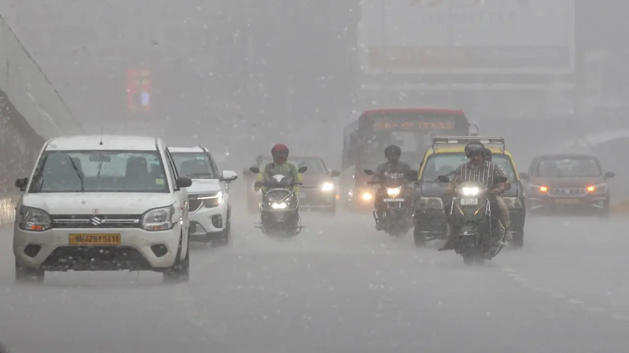 Mumbai sees light to moderate rainfall in 9 hours; no major disruptions