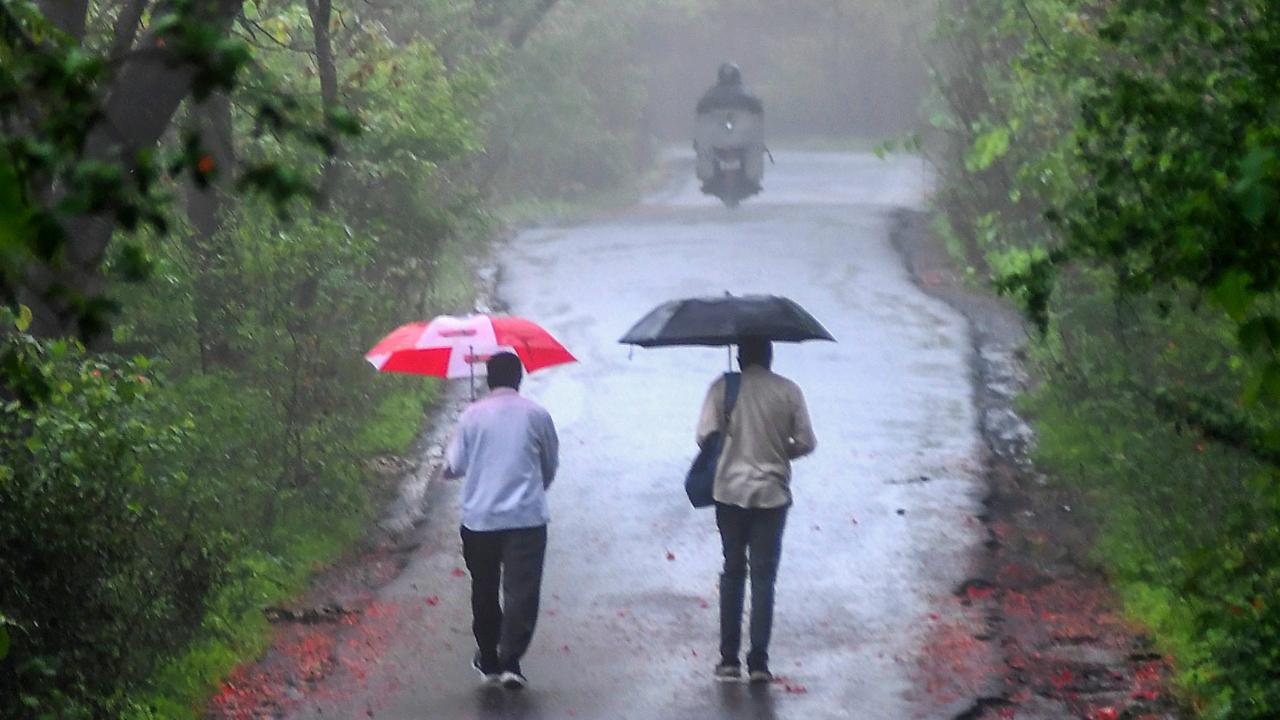 Mumbai weather updates: Light rainfall likely amid partly cloudy skies