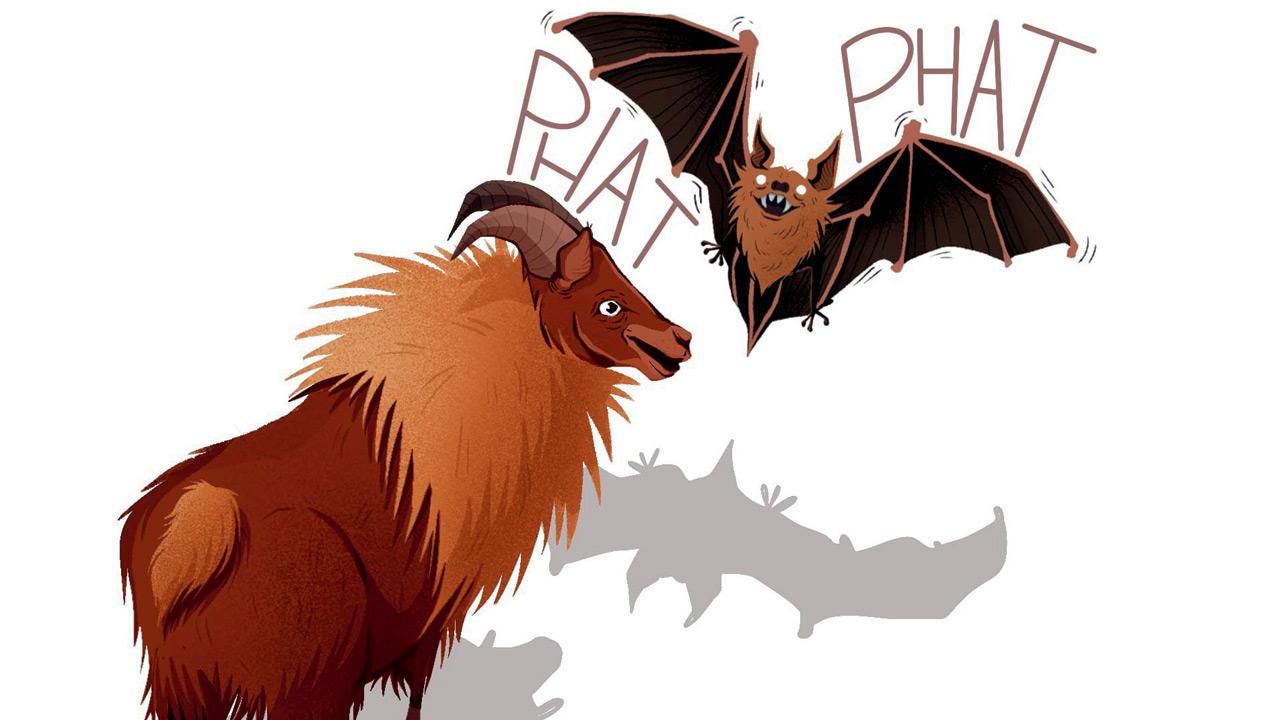 Now, bat’s a mystery!. Illustration Courtesy/Damini Gupta