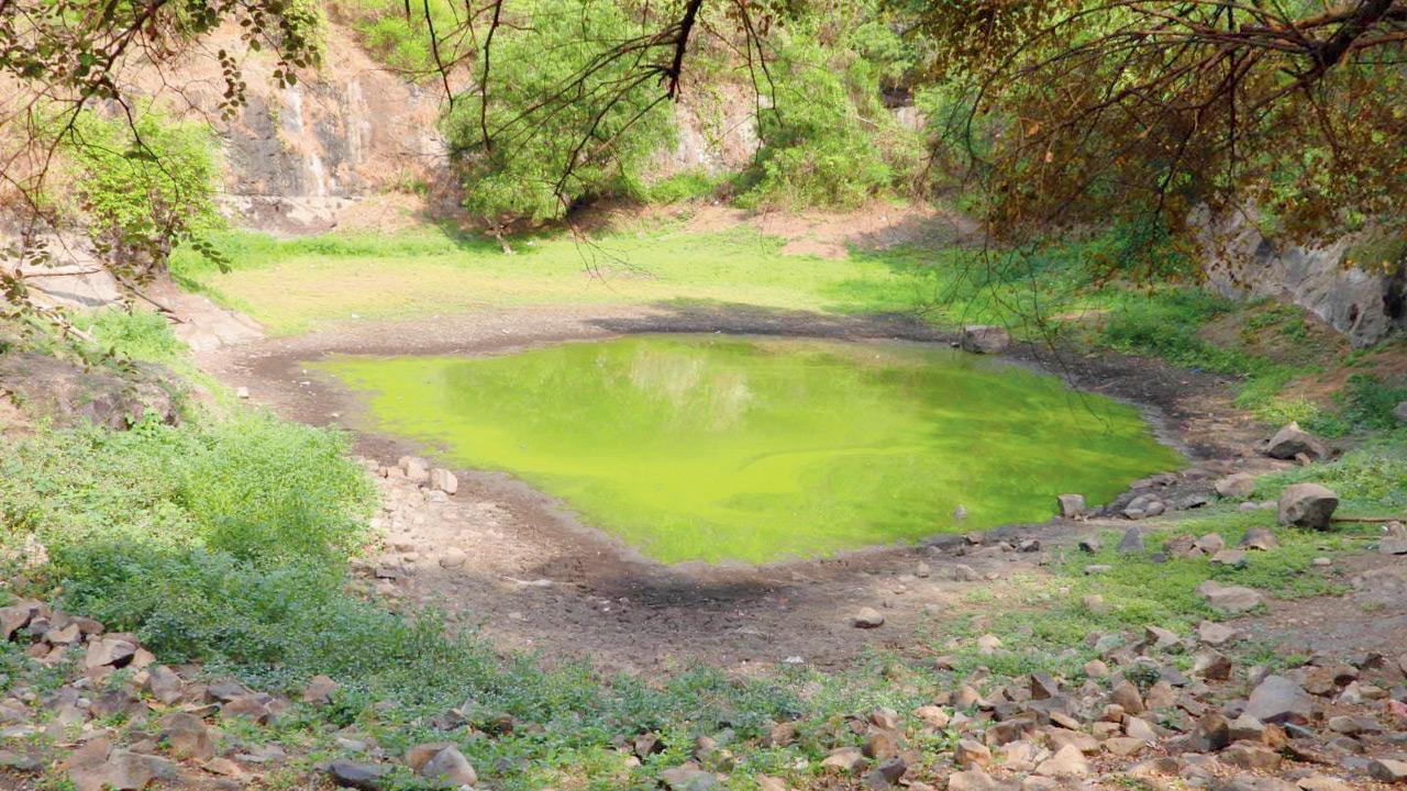 A scene from the trail. Pic Courtesy/SGNP