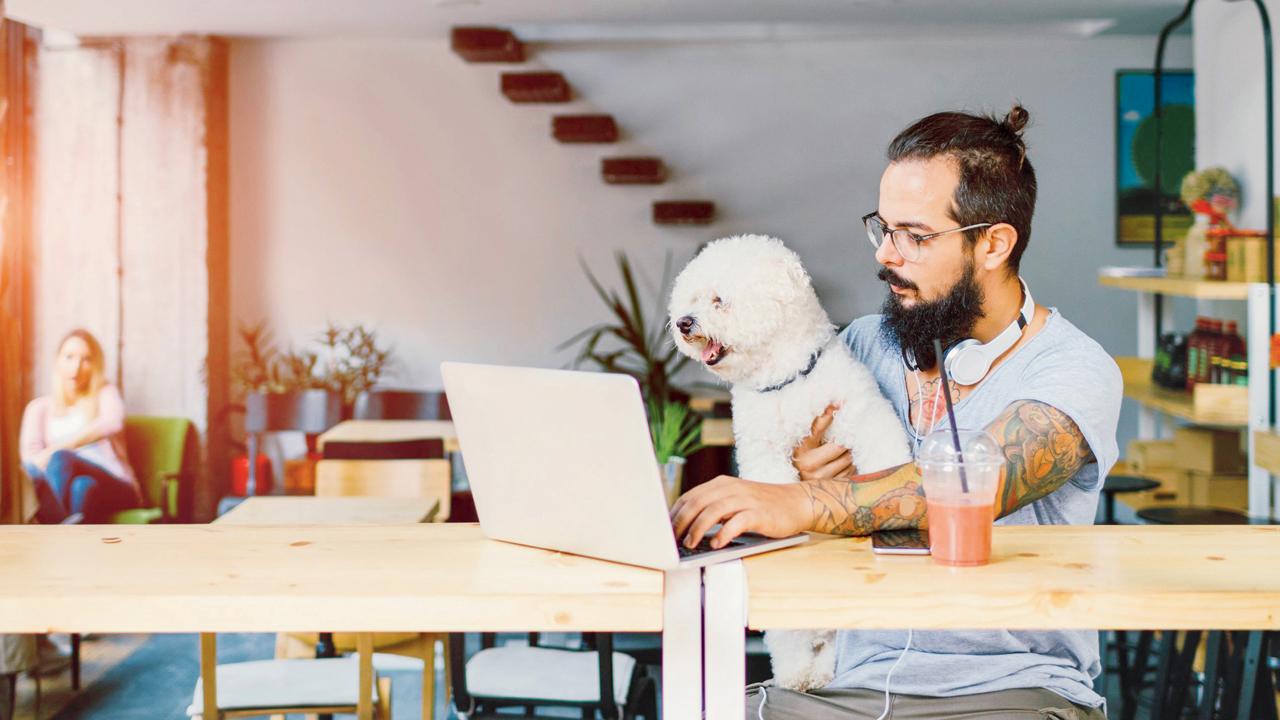 Can pet-friendly offices help employees de-stress?