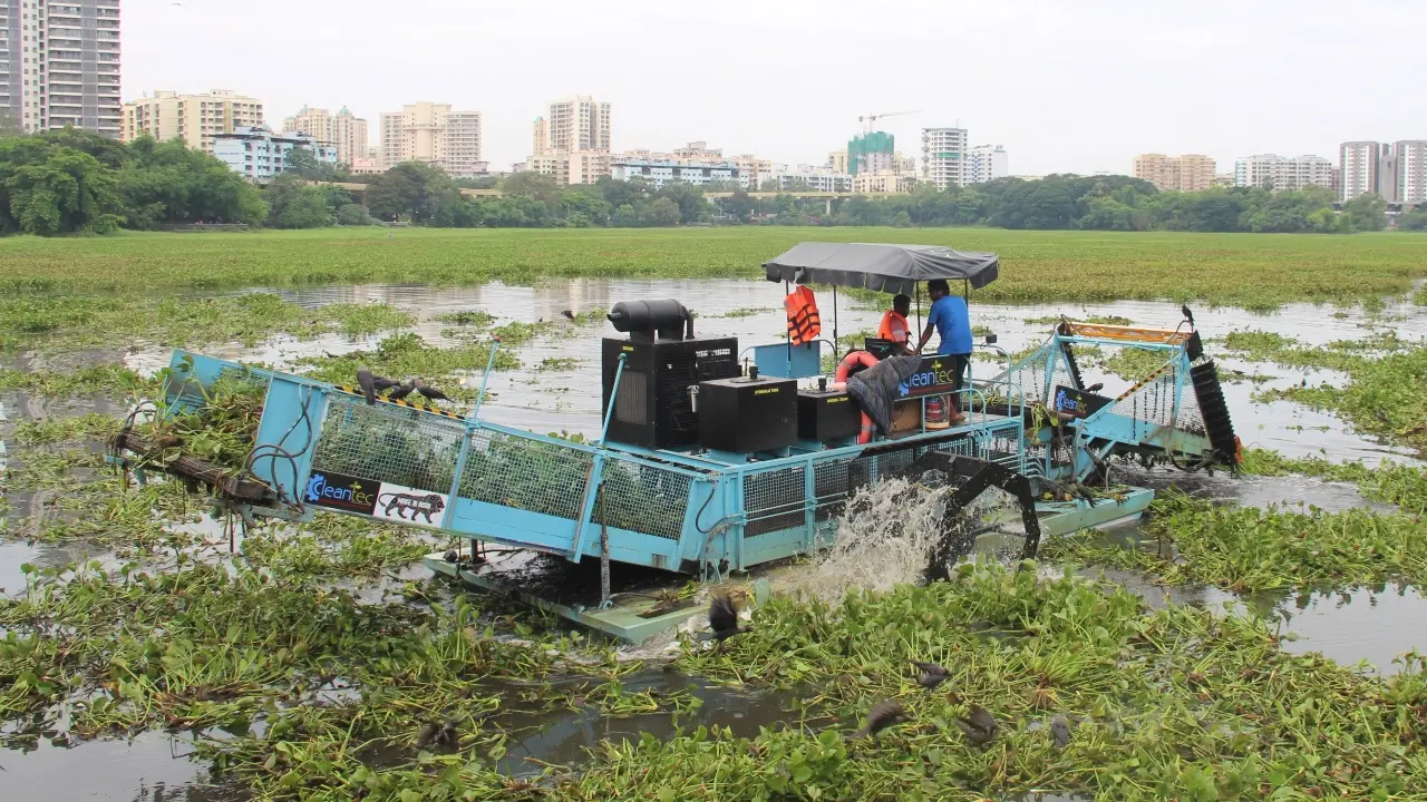 Powai Lake cleanup: BMC removes 1,450 metric tonnes of aquatic plants in 10 days