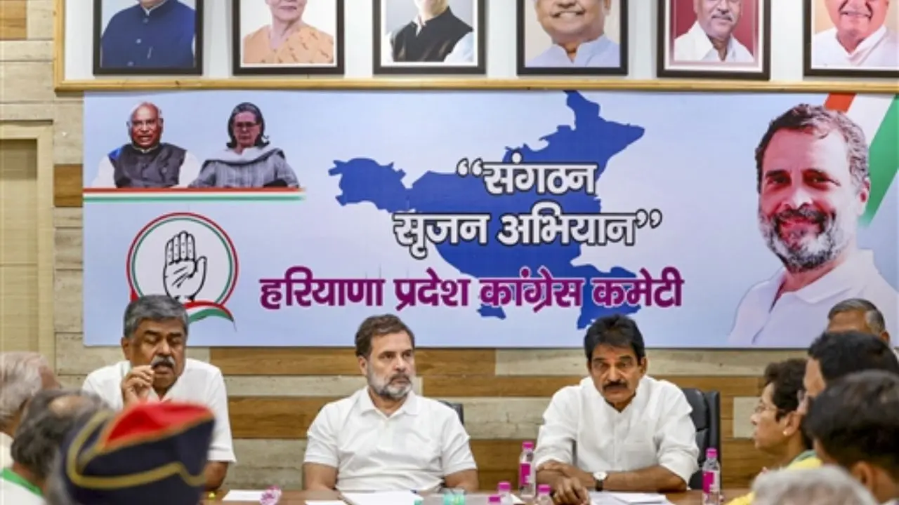 Rahul holds meetings with Haryana Congress leaders to rejuvenate party