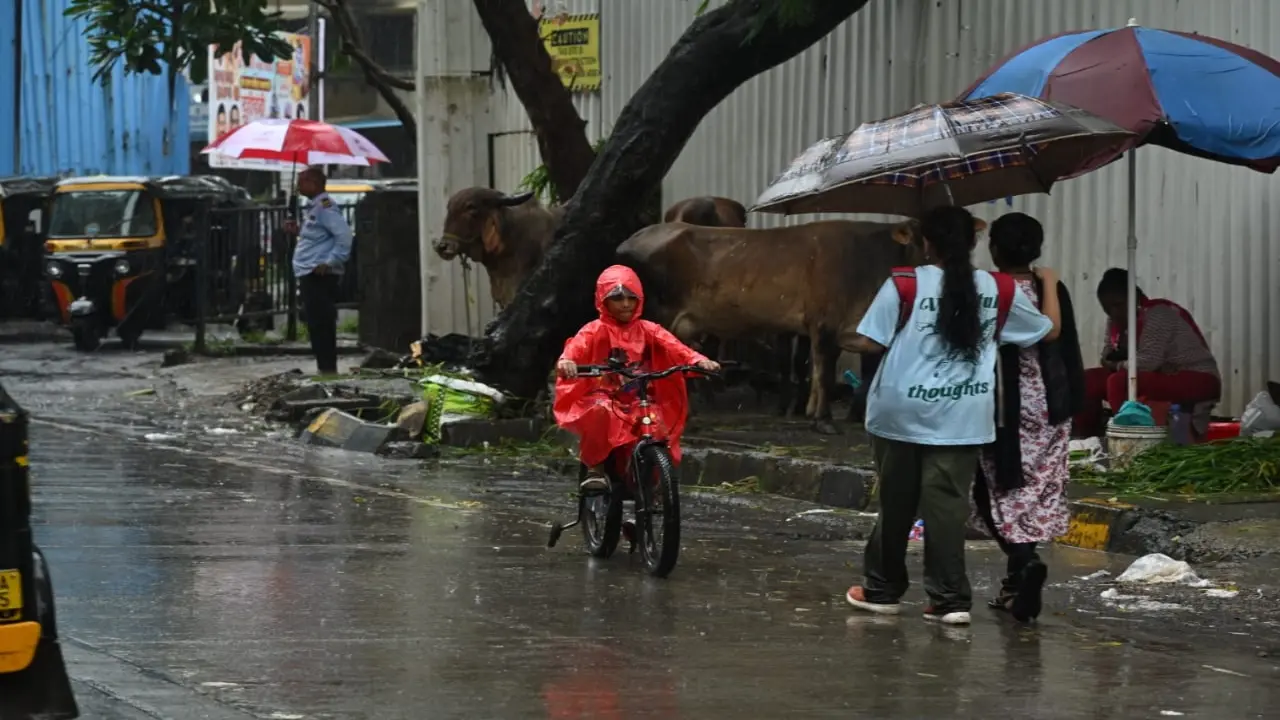 Six rain-related deaths reported in Pune, Jalna as monsoon stalls across state