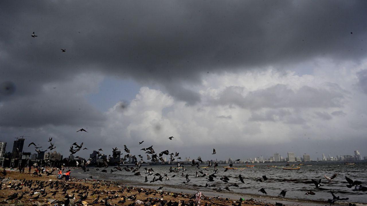 As the Mumbai skyline turned gloomy and cloudy, the flight of birds hinted at the approaching rains. Pic/ Shadab Khan.