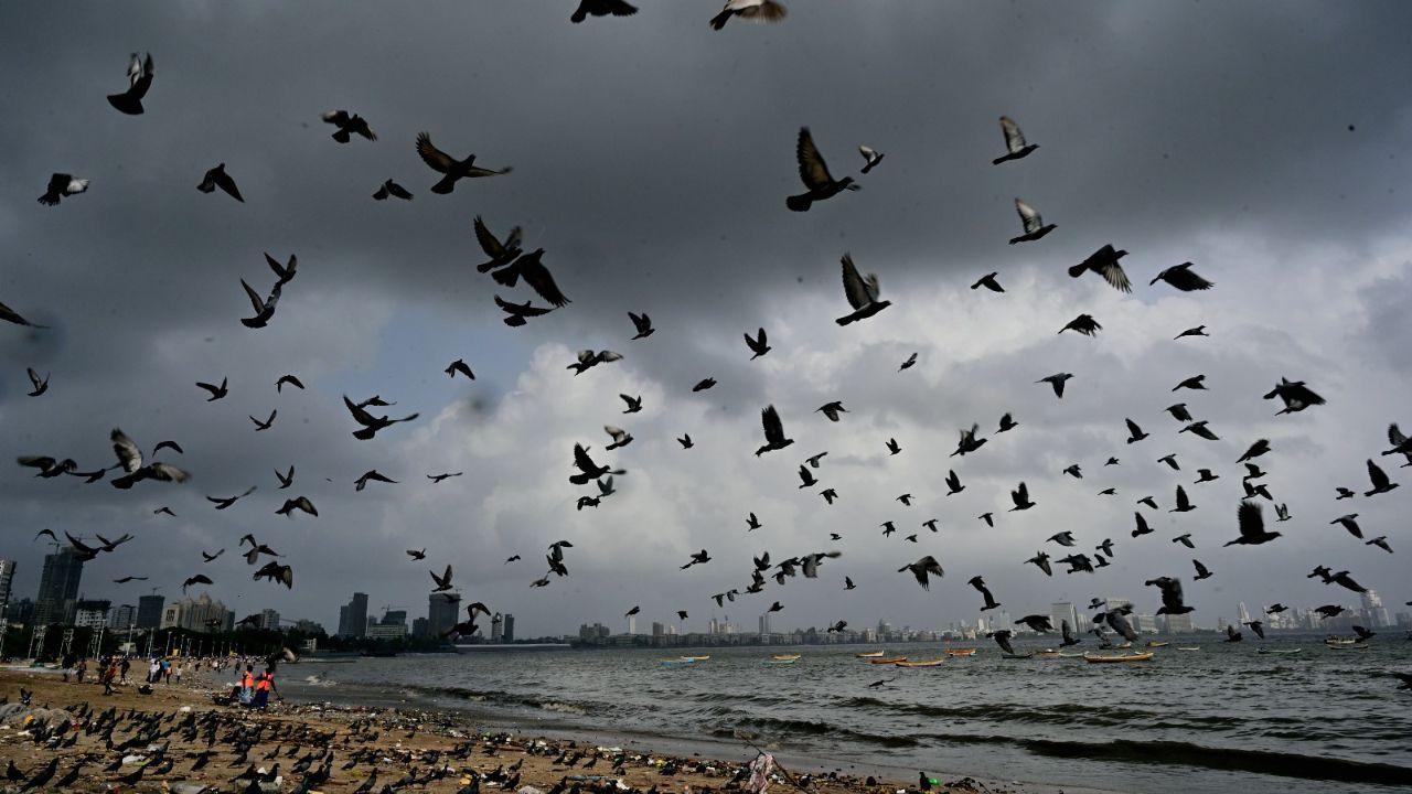 Low tides were expected at 11:45 pm on Monday, measuring 1.82 meters, and at 11:25 am on Tuesday at 1.96 meters