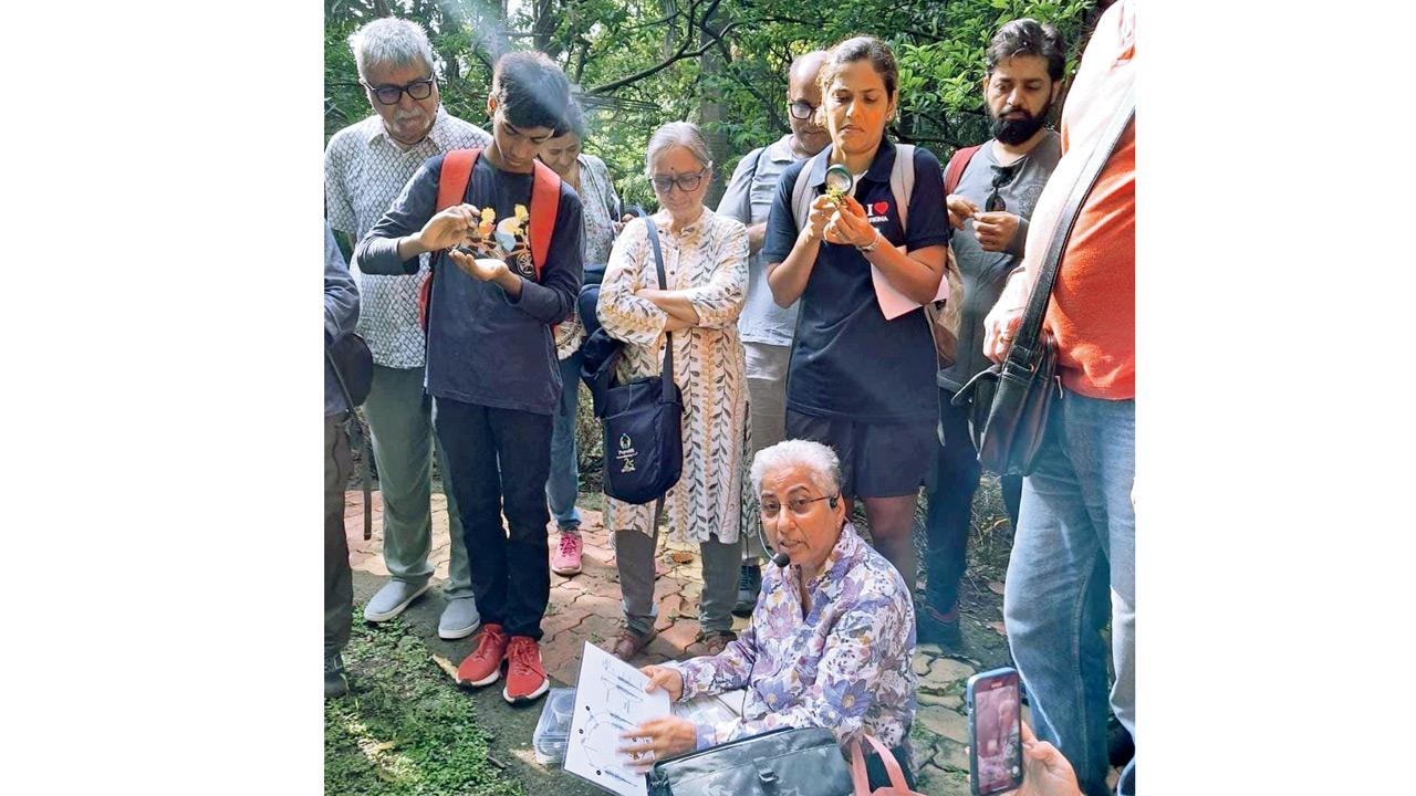 The 70-year-old naturalist climbs a tree. PICS COURTESY/RENEE VYAS