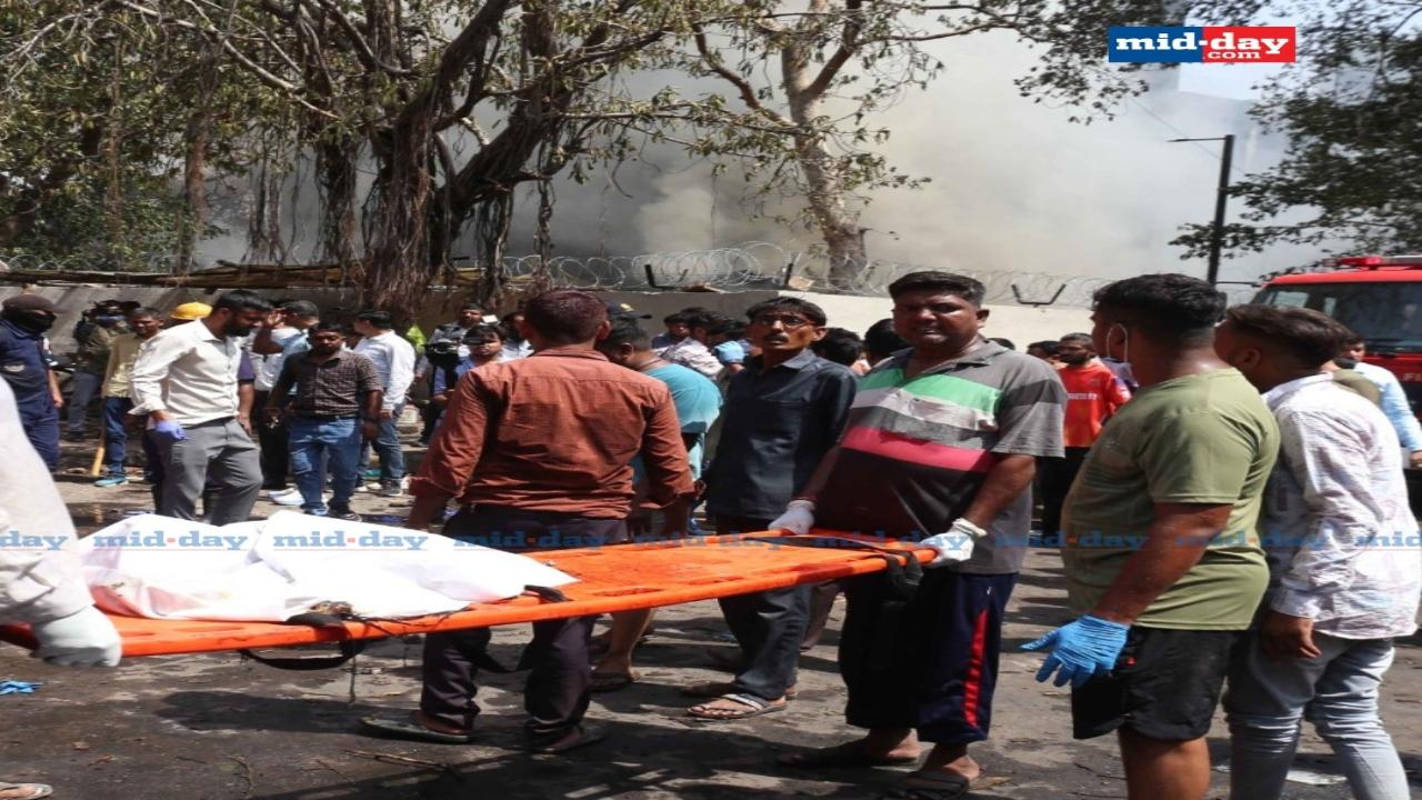 There were 242 people onboard the ill-fated flight; so far, only one survivor has been confirmed