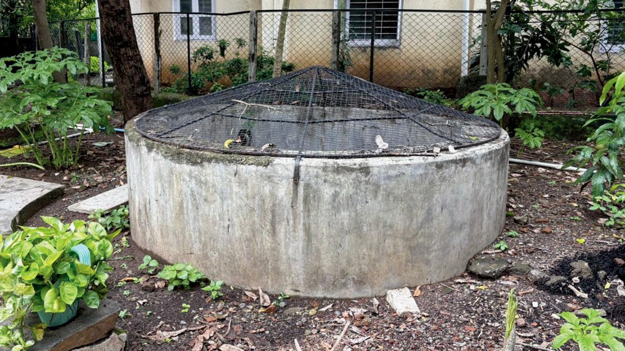 Sao Joao 2025: How Vasaikars jump in the ‘baokhal’, celebrate ‘Javaycha Sann’