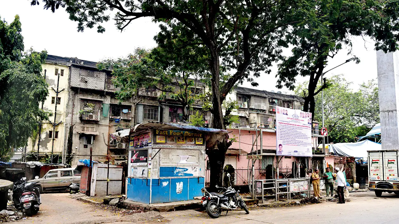 Man chokes homeless woman to death in Sewri, arrested