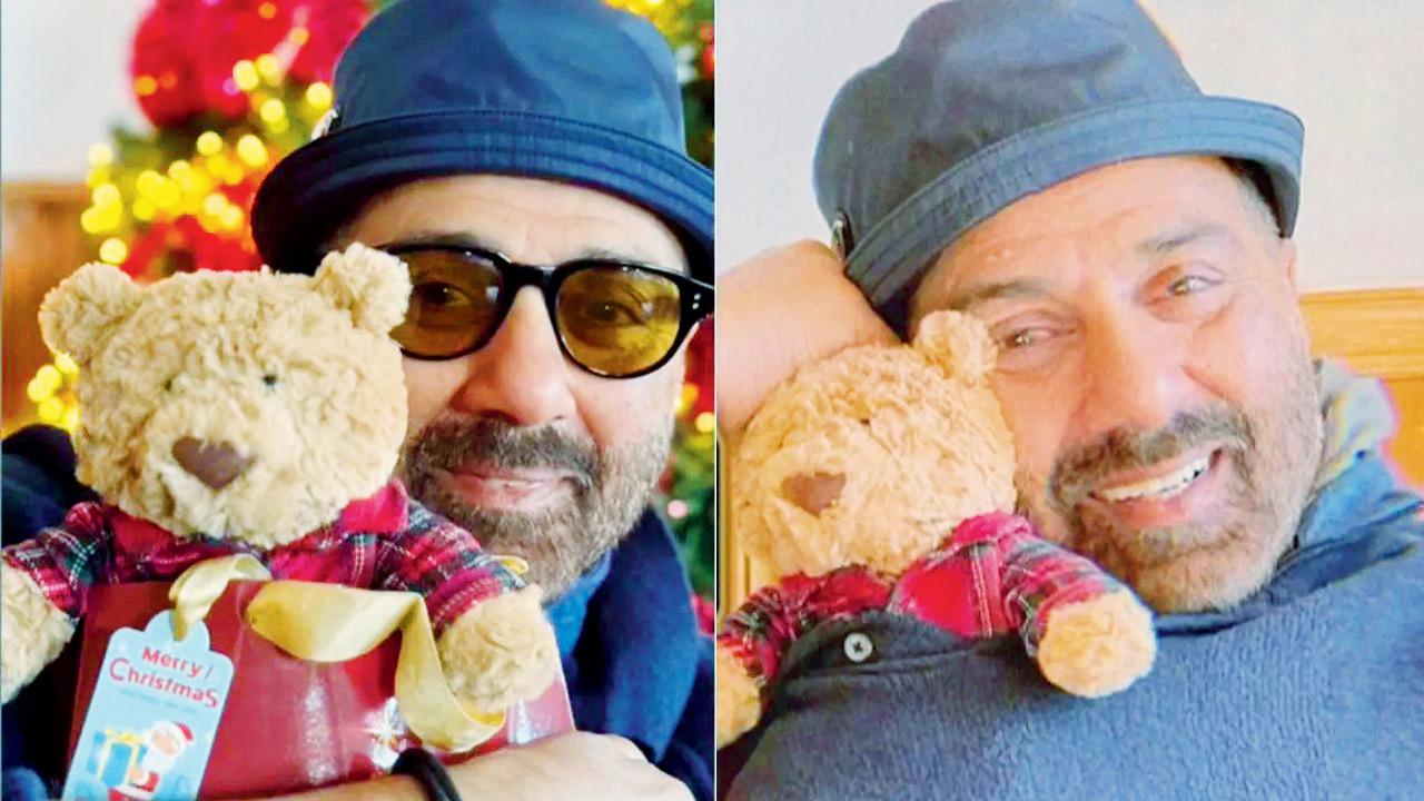 Actor Sunny Deol with his soft toys. File pics