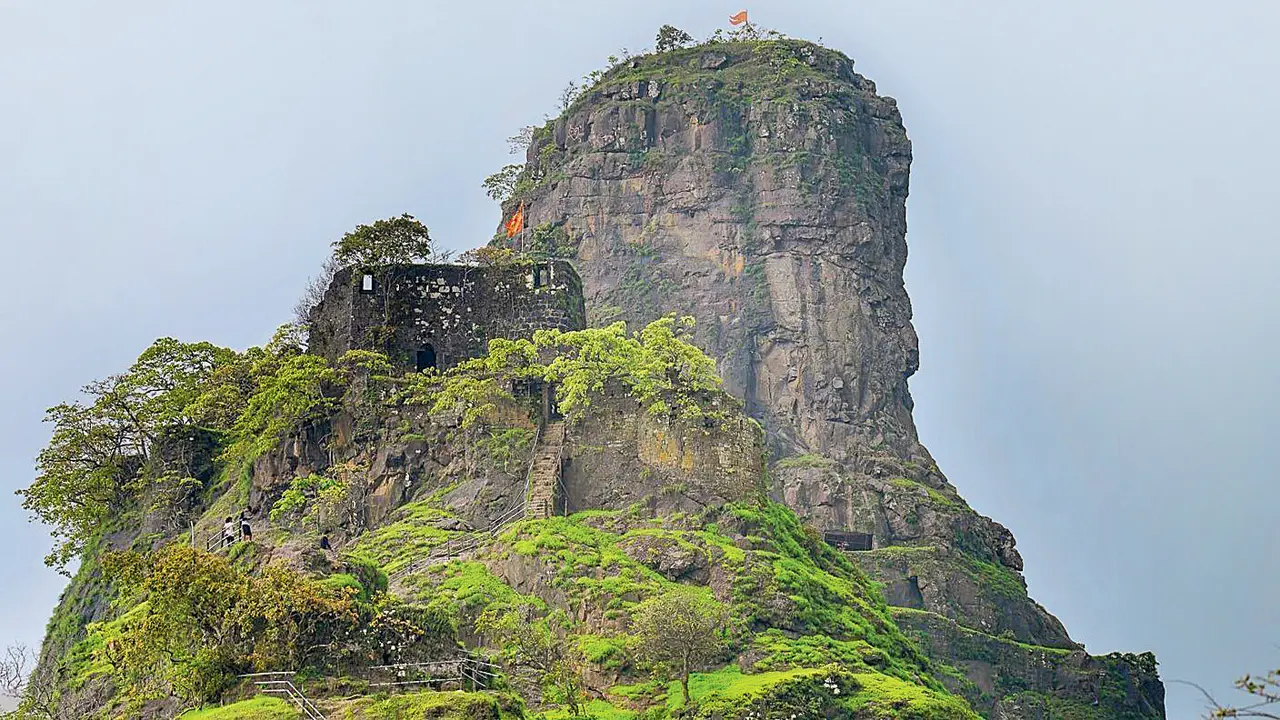 The greens are calling: Explore these forest getaways in Mumbai this monsoon