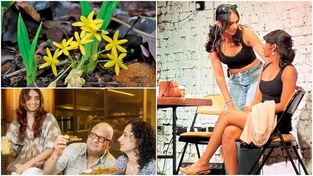 IN PHOTOS: Here are 7 things to do in Mumbai this weekend in June