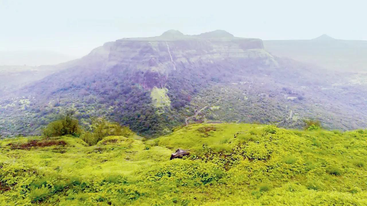 Monsoon escapeTrek to Visapur Fort near Lonavala for a green change of scenery. TIME 5 am MEETING POINT Sanjay Gandhi National Park, Borivali East. LOG ON TO  bookmyshow.comCOST Rs 1,399