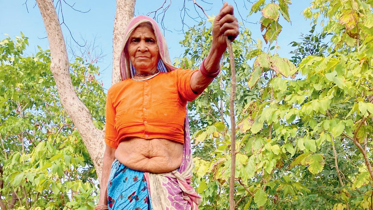 A Vasava tribal