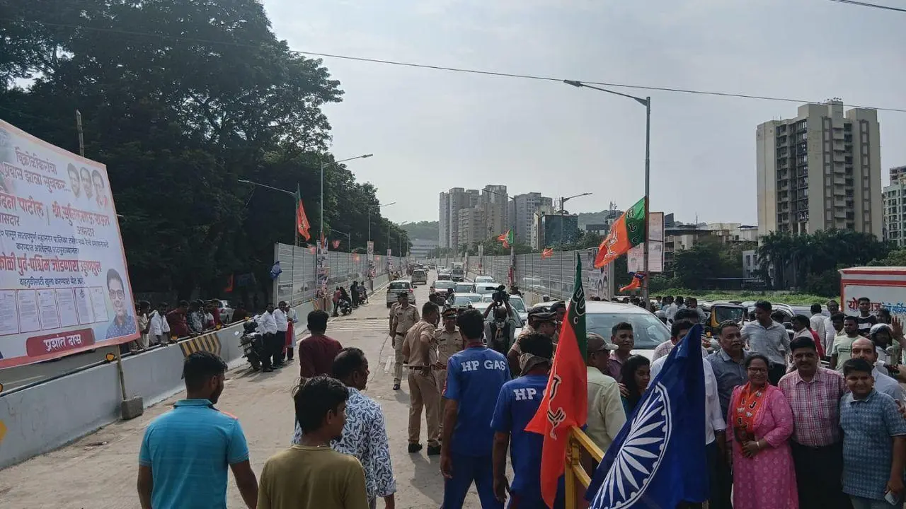 IN PHOTOS: Long-awaited Vikhroli bridge now open for commuters in Mumbai