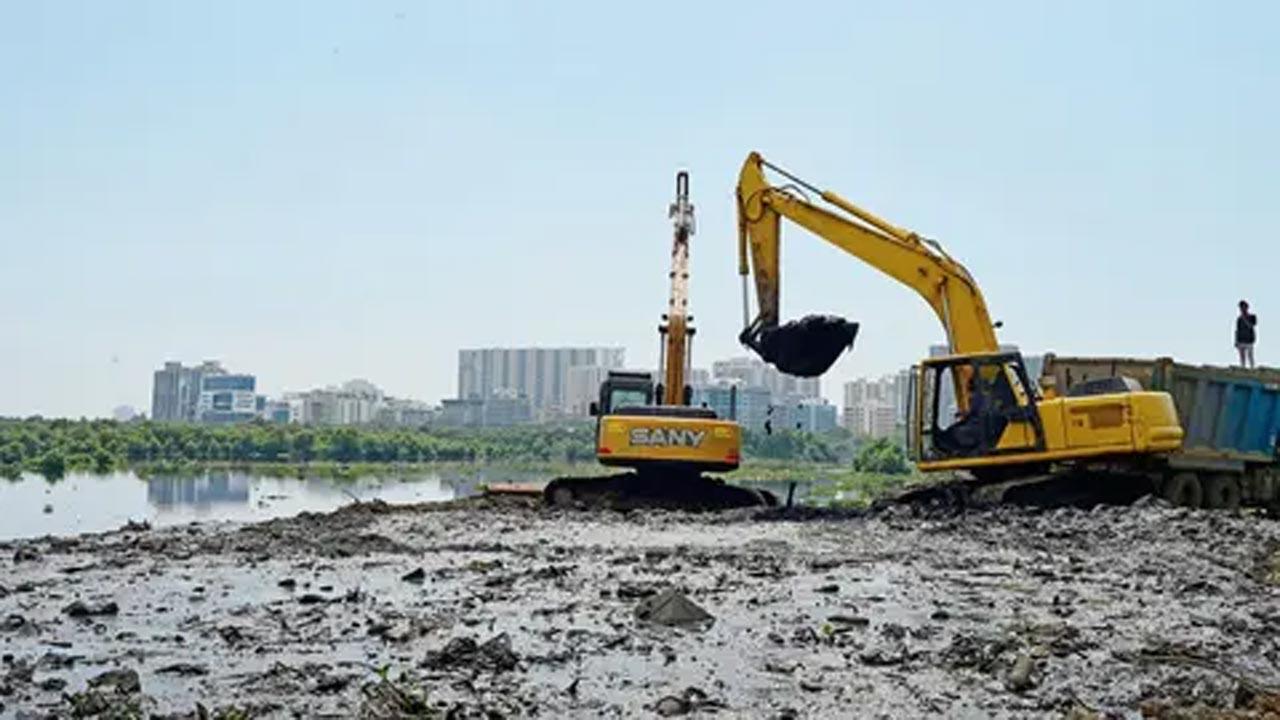 Who’s keeping an eye on the city’s buffer zones?