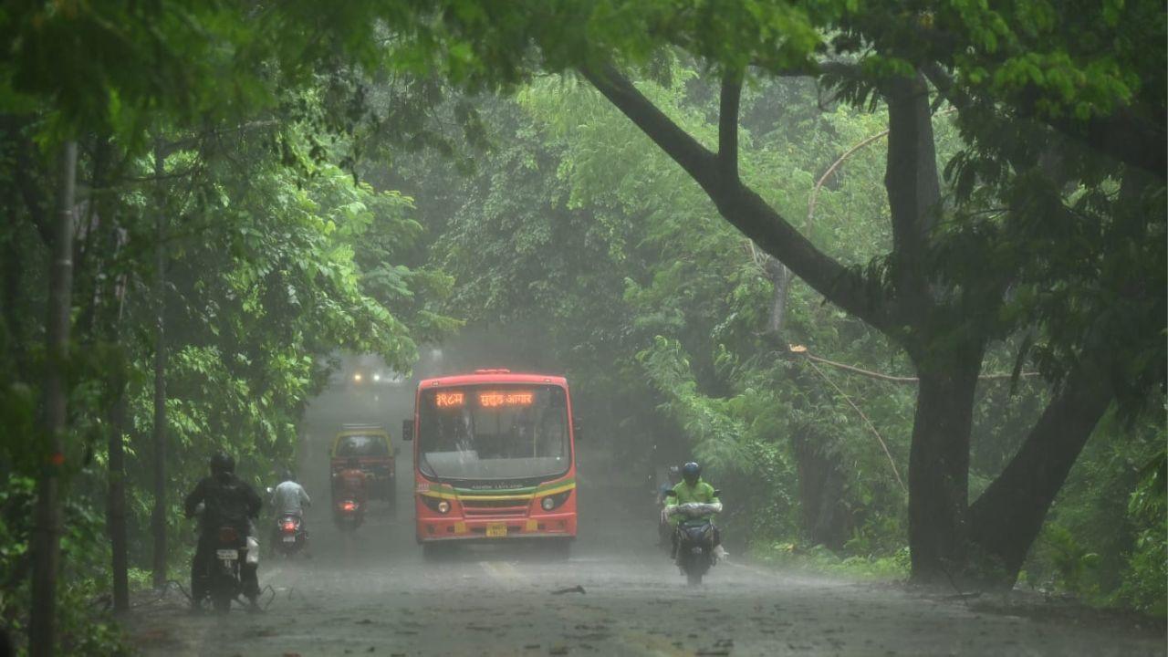 IN PHOTOS | Mumbai: Heavy rain blankets Aarey stretch in Goregaon