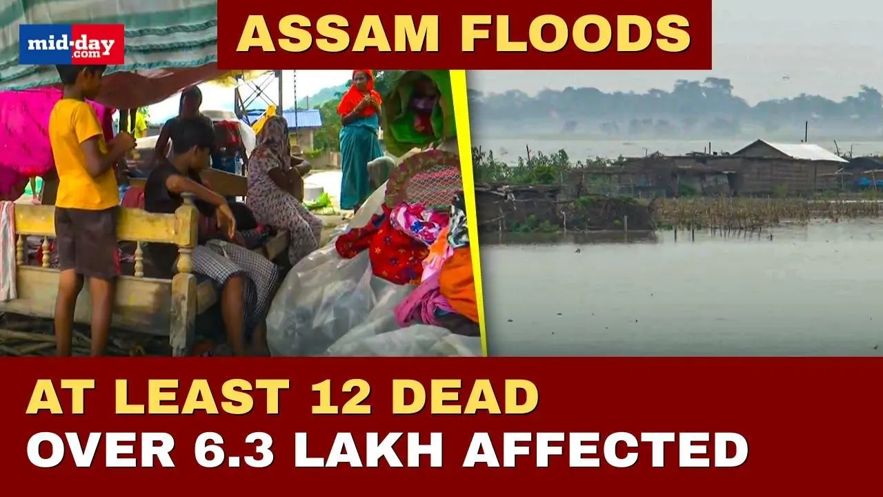 Assam floods: Mayhem in the state, at least 12 dead, crops damaged