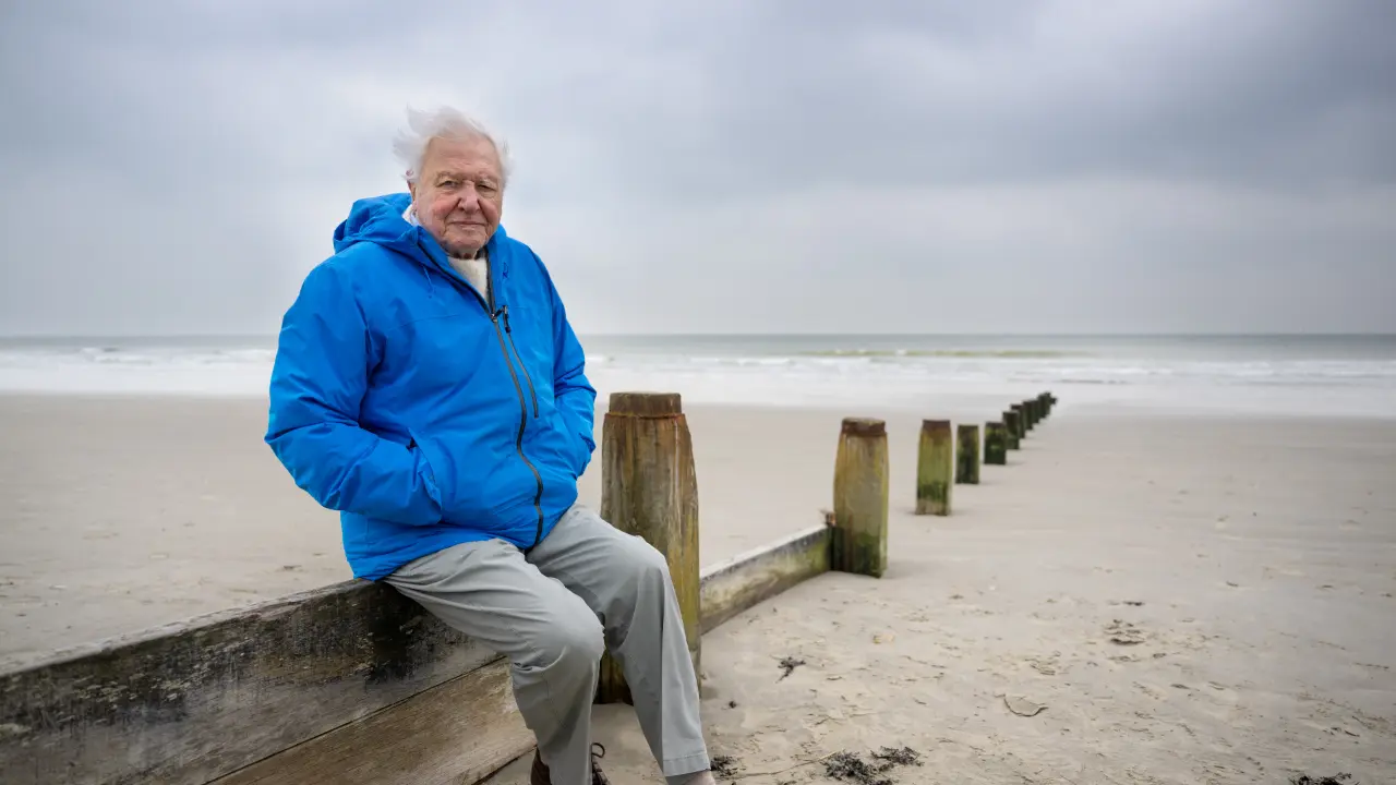 David Attenborough: My lifetime coincided with the great age of ocean discovery