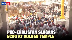 Op Blue Star's 41st Anniversary: Pro-Khalistan Slogans Echo at Golden Temple