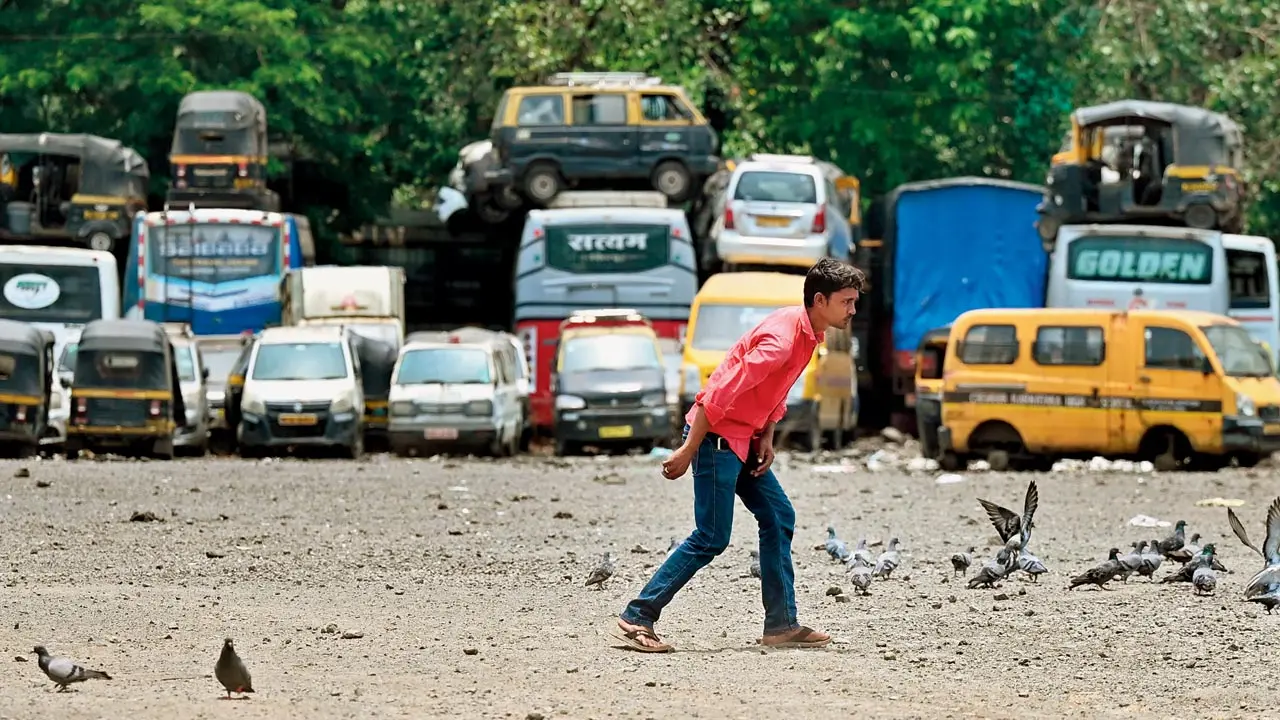 Mumbai Diary: Sunday Dossier