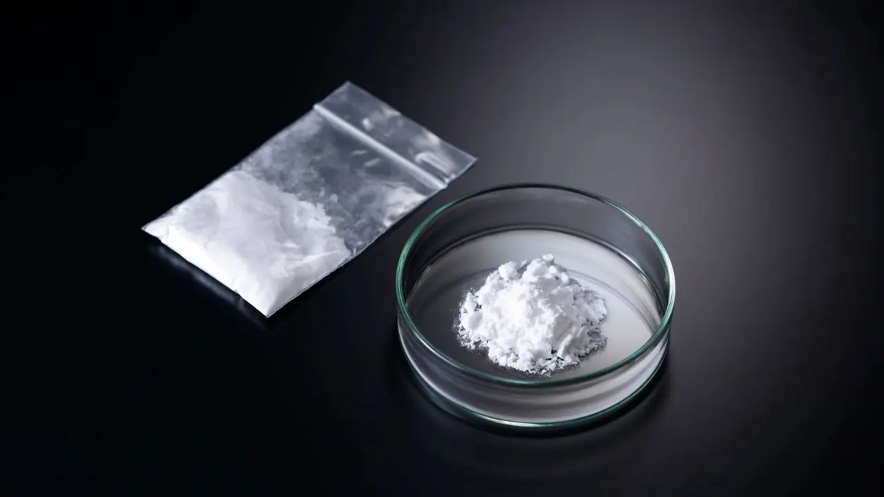 Jammu and Kashmir: Police arrest SPO with heroin in Udhampur