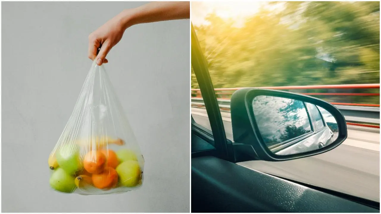 IN PHOTOS: Did you know these daily practices are harming the environment?