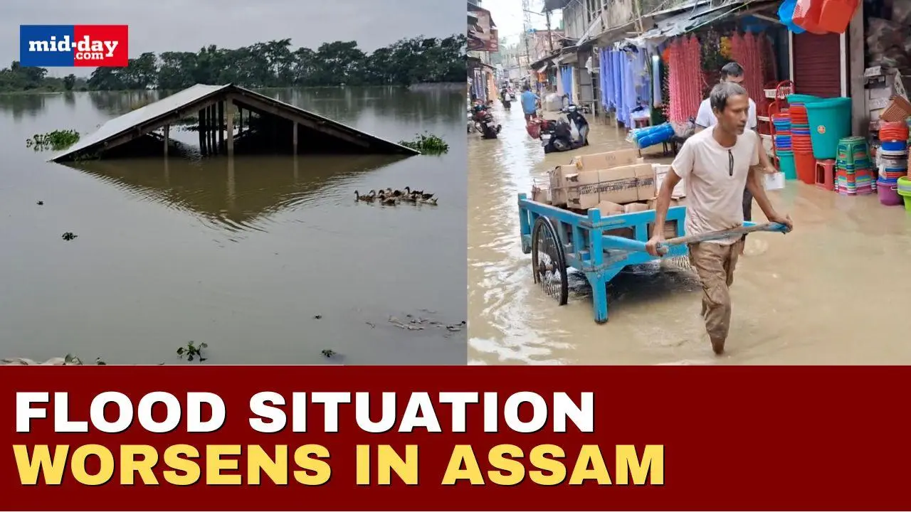 Assam Floods: 1500+ homes submerged, daily life crippled in Assam