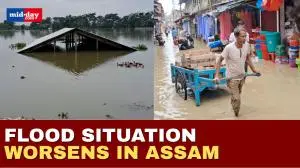Assam Floods: 1500+ homes submerged, daily life crippled in Assam