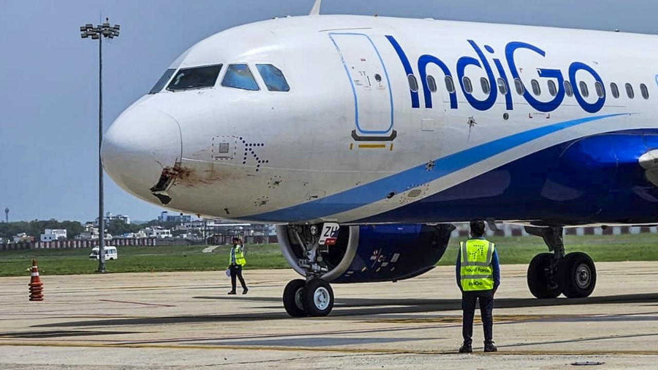 IndiGo flight makes emergency landing at Ranchi airport after bird hit