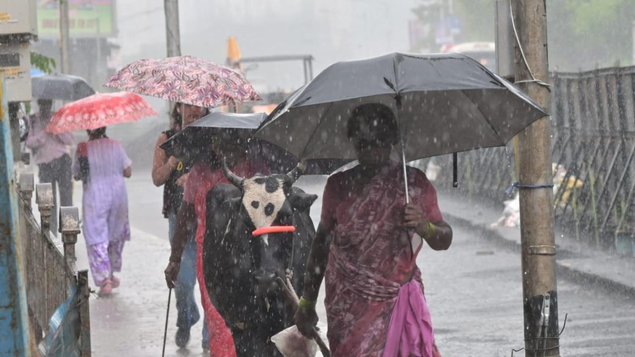 The eastern suburbs received 20.41 mm, while the western suburbs registered the highest at 25.80 mm, indicating moderate precipitation across the city