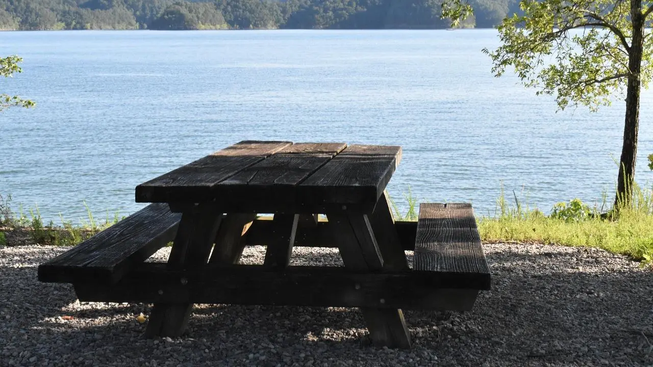 IN PHOTOS: Top spots to enjoy a picnic in and around Mumbai