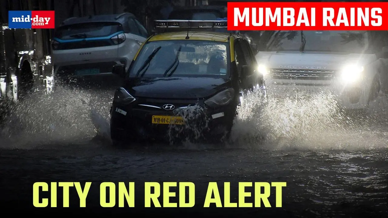 Mumbai Rains: IMD issues red alert for Mumbai, Raigad