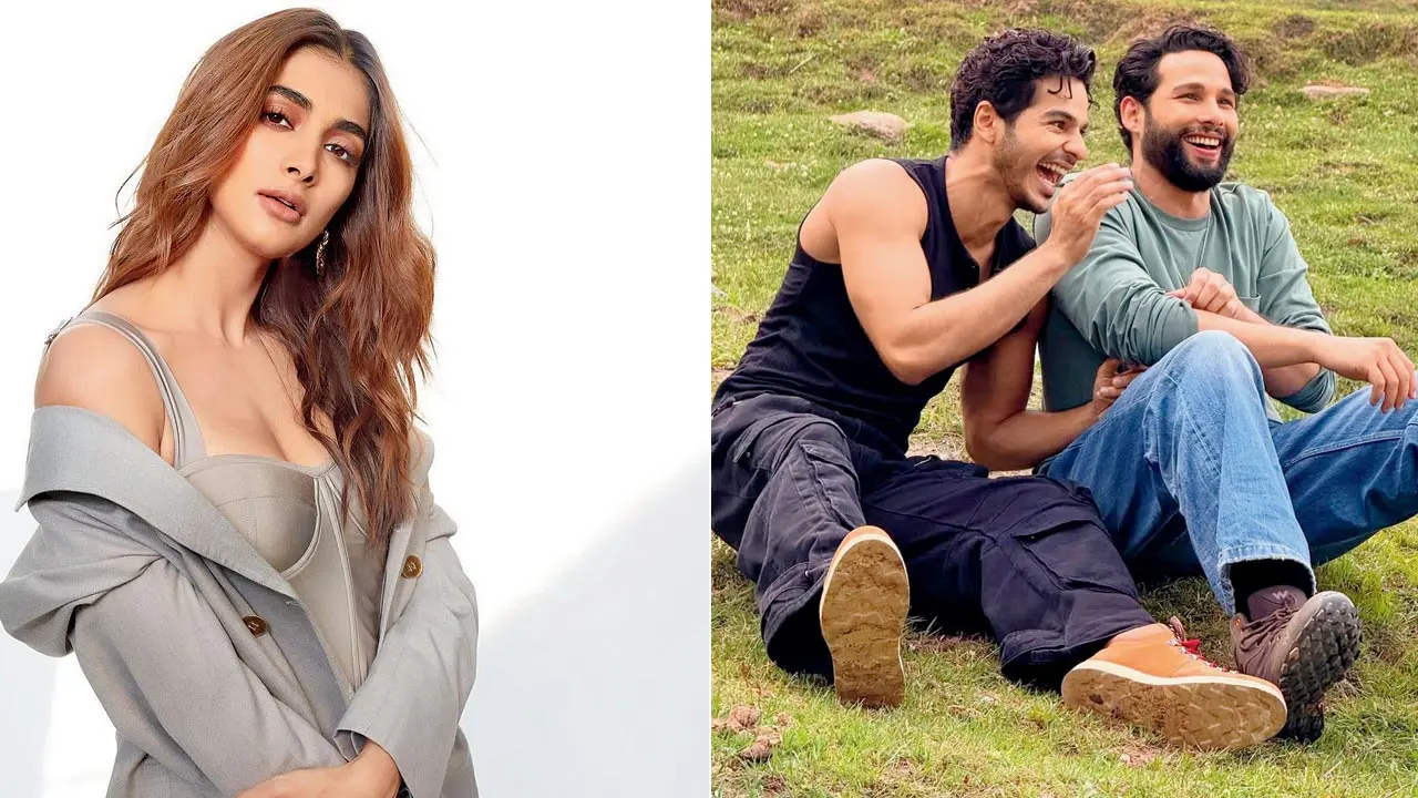 Have you heard? Siddhant Chaturvedi and Ishaan Khatter reunite
