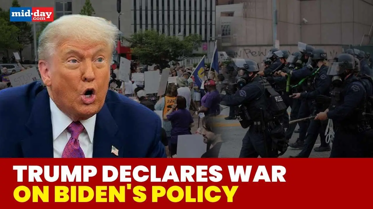 'We're Coming for Them': US President Donald Trump Unleashes ICE Raids