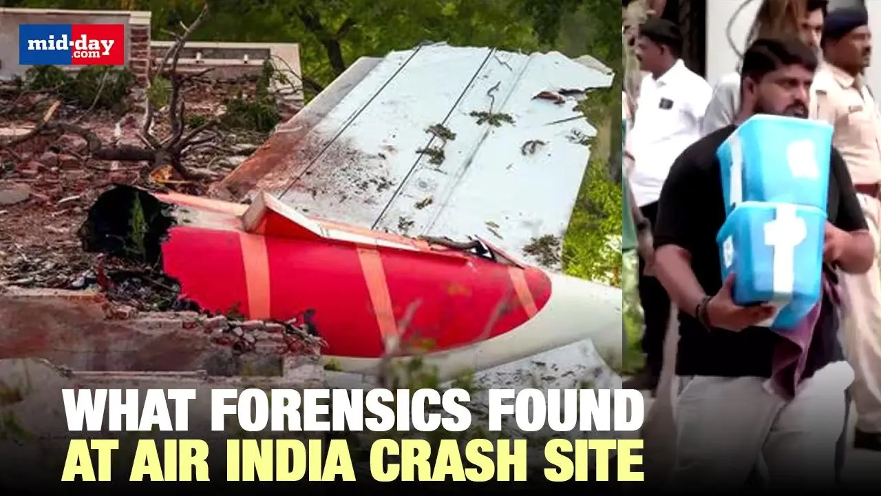 Ahmedabad Plane Crash: Forensic Experts Balanced Speed & Handover of Bodies