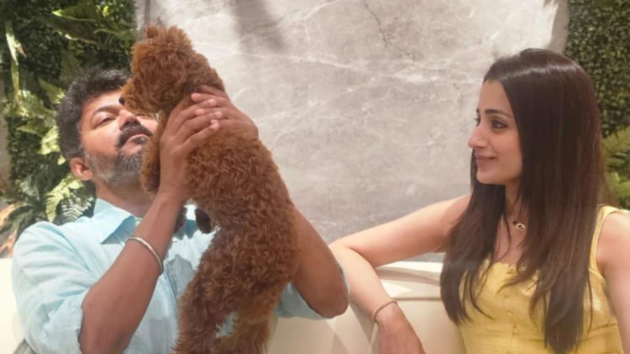 Trisha shares most adorable picture with Thalapathy Vijay as he turns 51