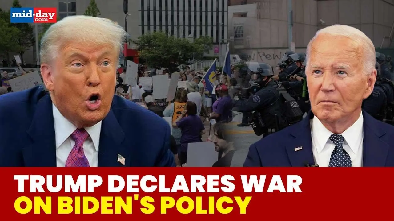 'We're Coming for Them': US President Donald Trump Unleashes ICE Raids