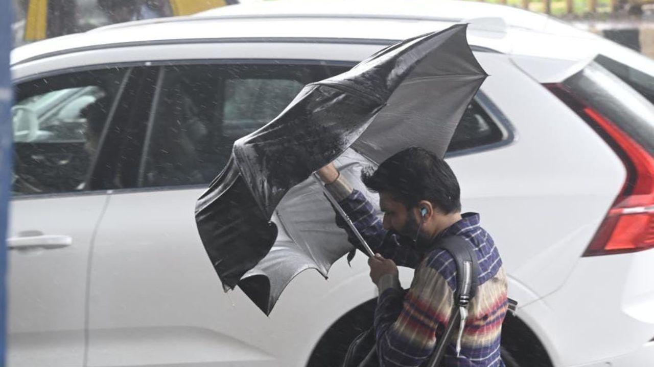 The India Meteorological Department's Colaba observatory recorded 100 mm of rainfall, while the Santacruz station logged 86 mm