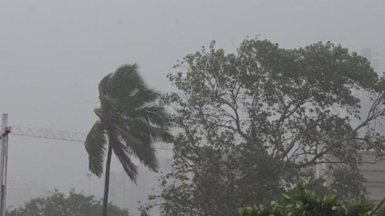 Mumbai News LIVE Updates: Keep risk-prone tourist spots off-limits in monsoon