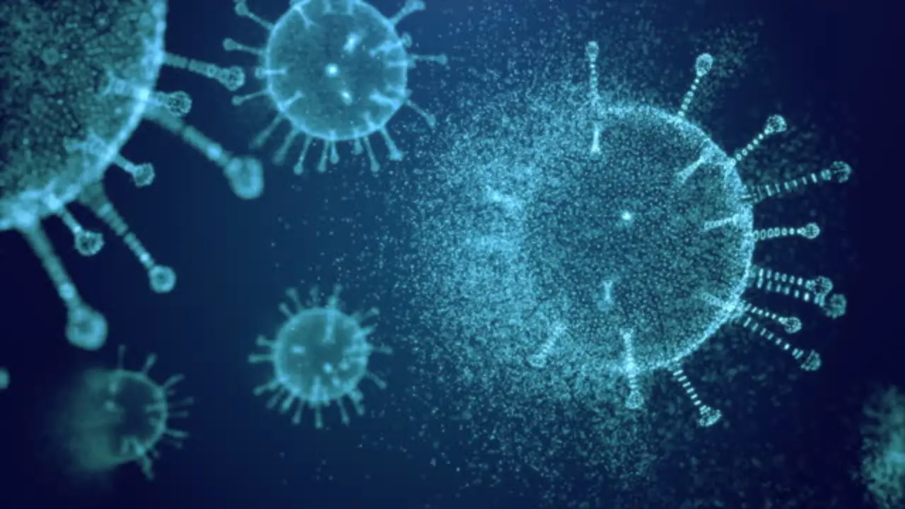 Viruses follow seasonal and yearly cycles: IIT-Madras study 
