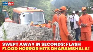 NDRF Races Against Time After Flash Flood Strikes Dharamshala; 2 Dead, 6 Missing