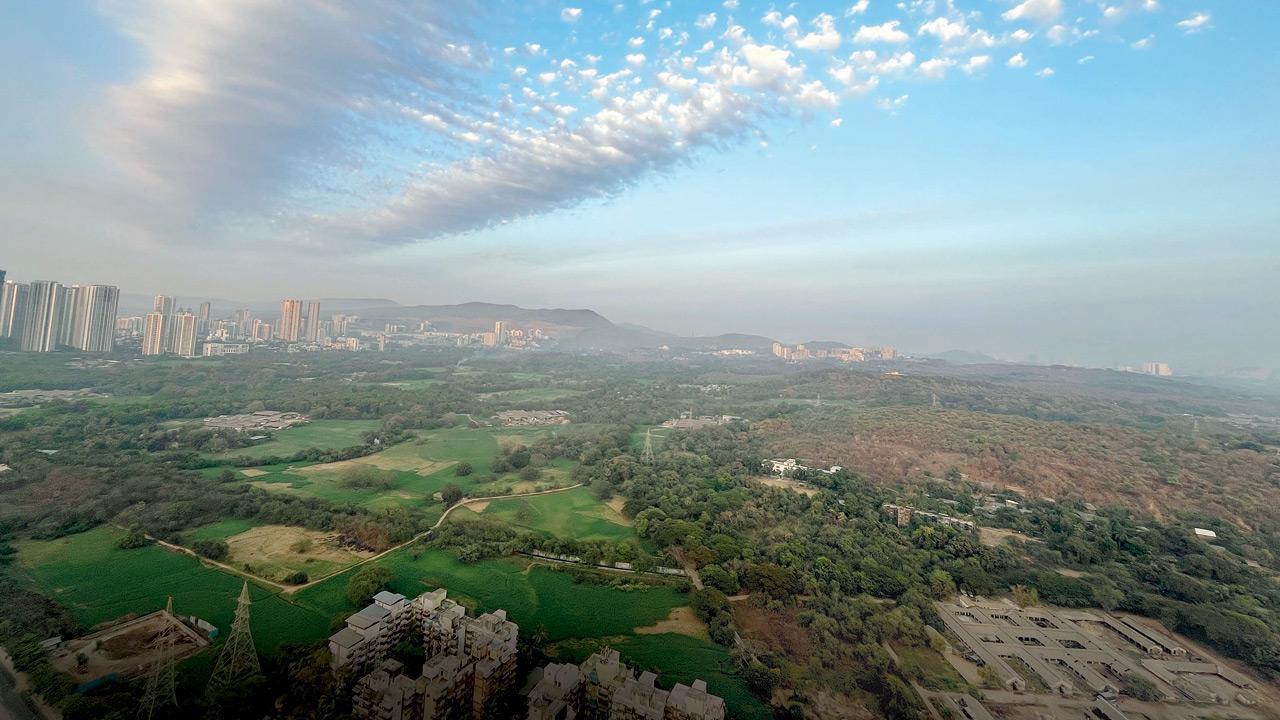 Int'l Day of Forests: Mumbai's eco-warriors dive into how the city treat jungles
