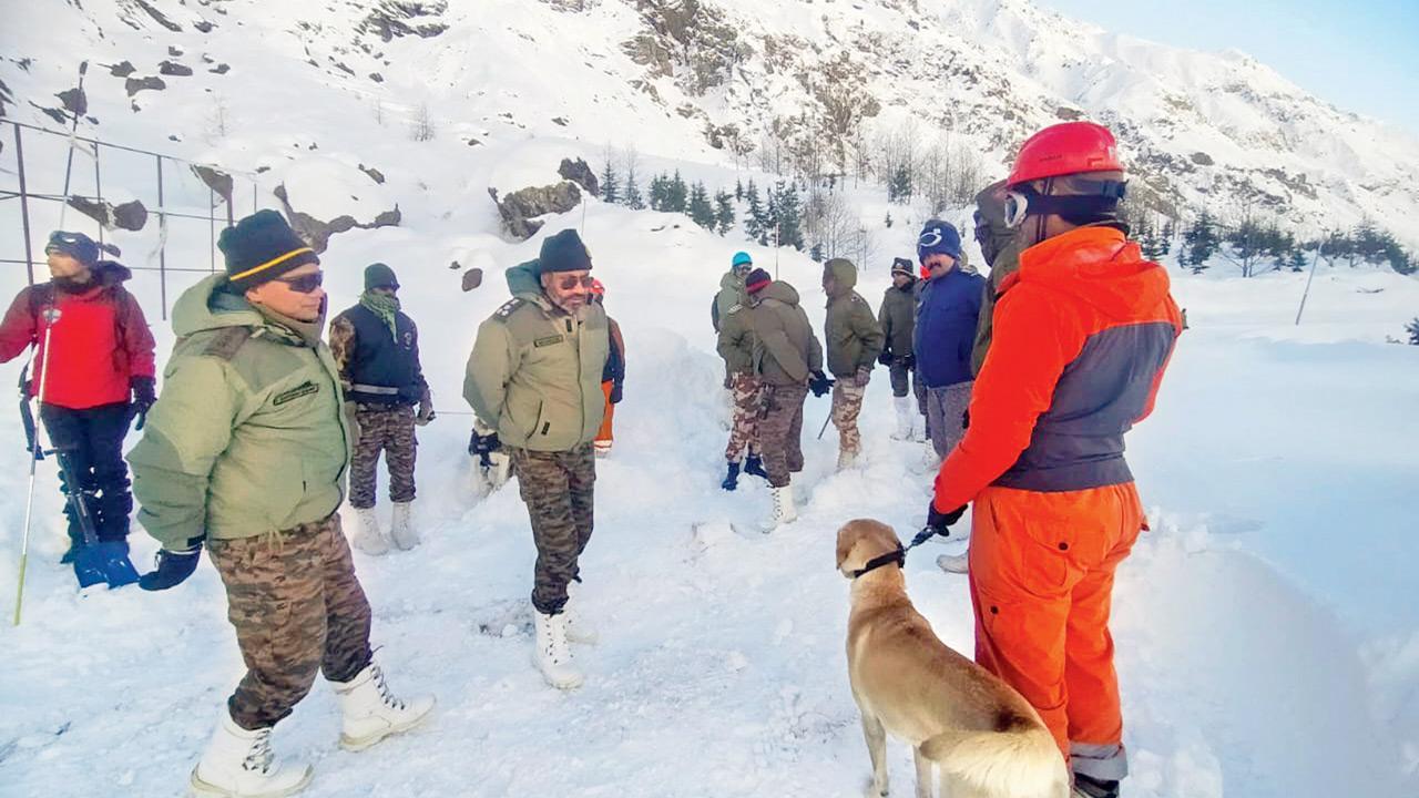 Uttarakhand avalanche: 8 killed, 46 pulled out as rescue ops end