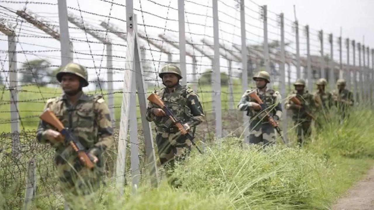 BSF Tripura apprehends 29 Bangladeshi nationals along the border