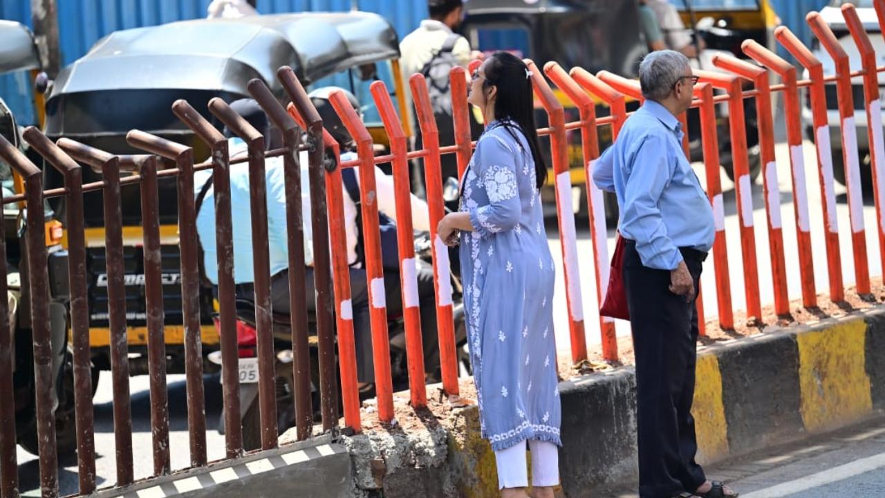 Residents of Borivali West are adjusting to the newly installed grille dividers on S.V. Road, aimed at preventing jaywalking and ensuring smoother vehicular movement