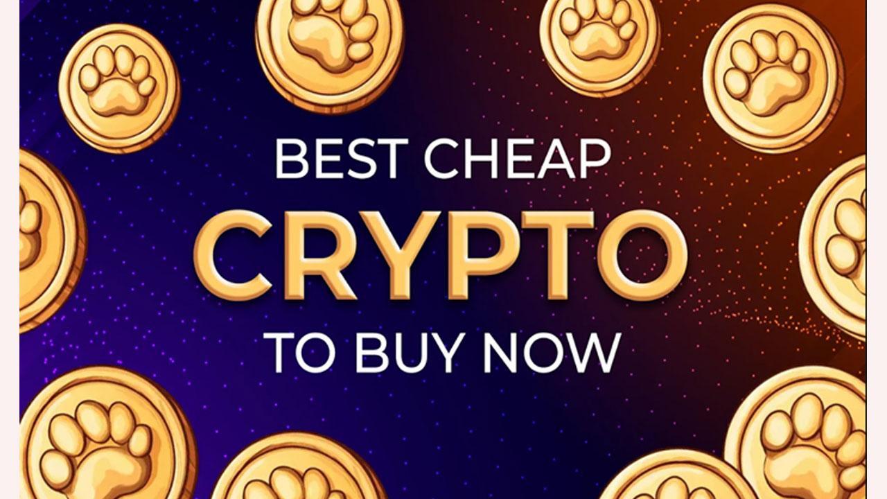Cheap Crypto to Purchase Now: Are These Hidden Gems the Next Big Thing?
