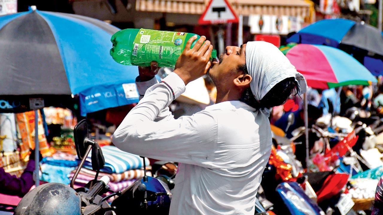 Drink water, stay indoors: BMC issues advisory to combat heatwave