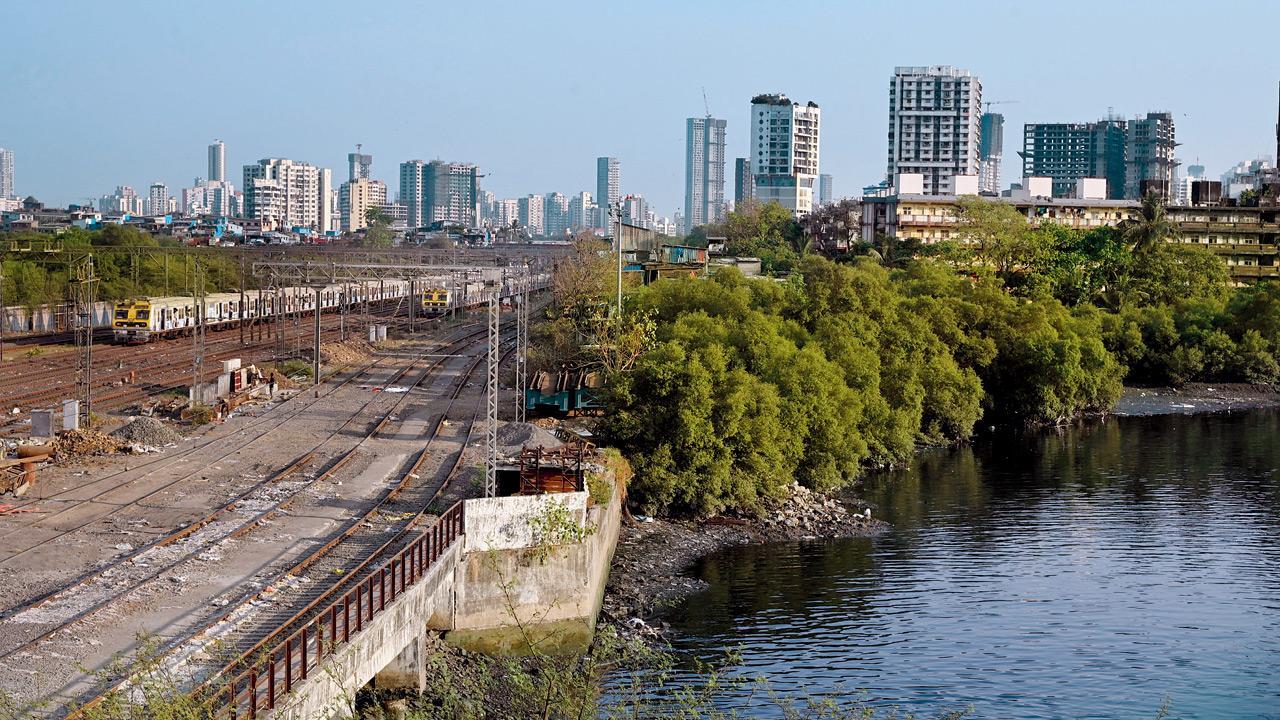 BMC plans new elevated road to ease Mahim traffic